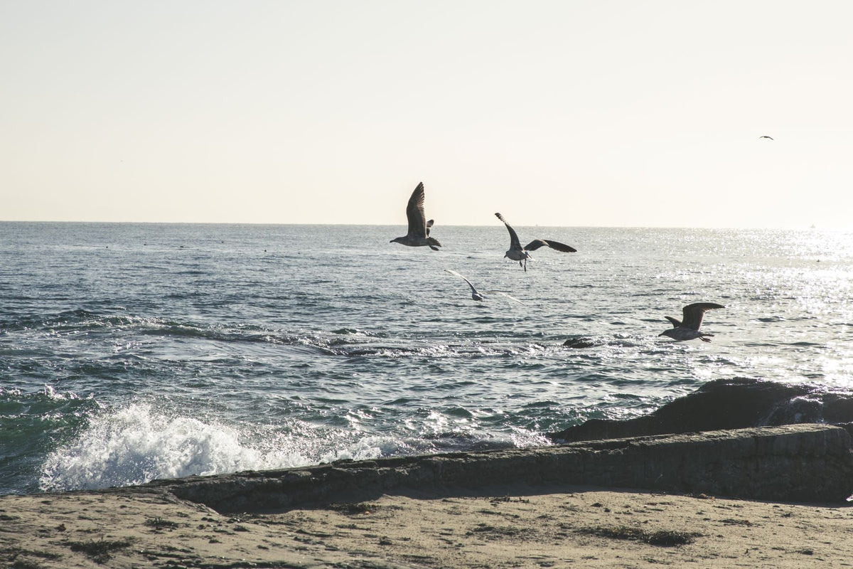 Sustainability is Always in Style: Sanuk’s Sustainable Commitment – Sanuk®