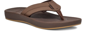Cosmic Coast (brown)