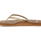 Yoga Joy Ii Shimmer (champagne)