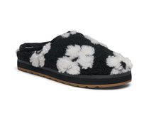 (black daisy)